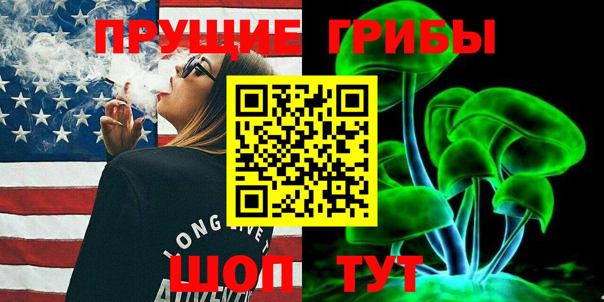 Галлюциногенные грибы Psilocybe  что такое   Вход с VPN  Мичуринск  Псилоцибиновые грибы Magic Shrooms 